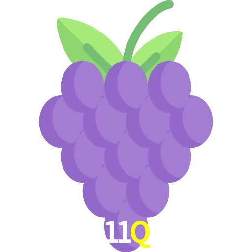 11Q
